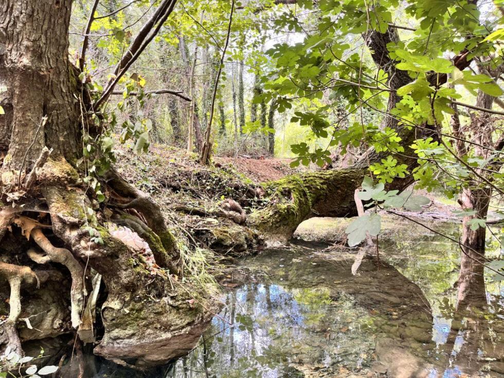 Le Moulin Dumas Grignan